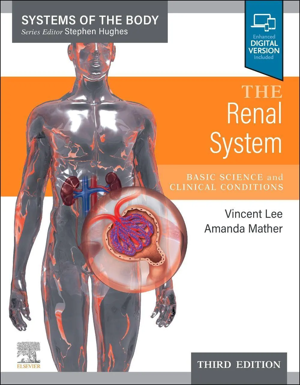 Cover: 9780702082924 | The Renal System | Systems of the Body Series | Lee (u. a.) | Buch