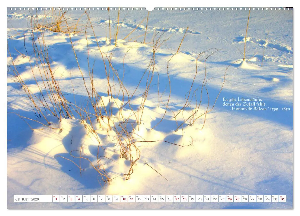 Bild: 9783457603024 | Über den Zufall - Nachdenk-Kalender (Wandkalender 2026 DIN A2...