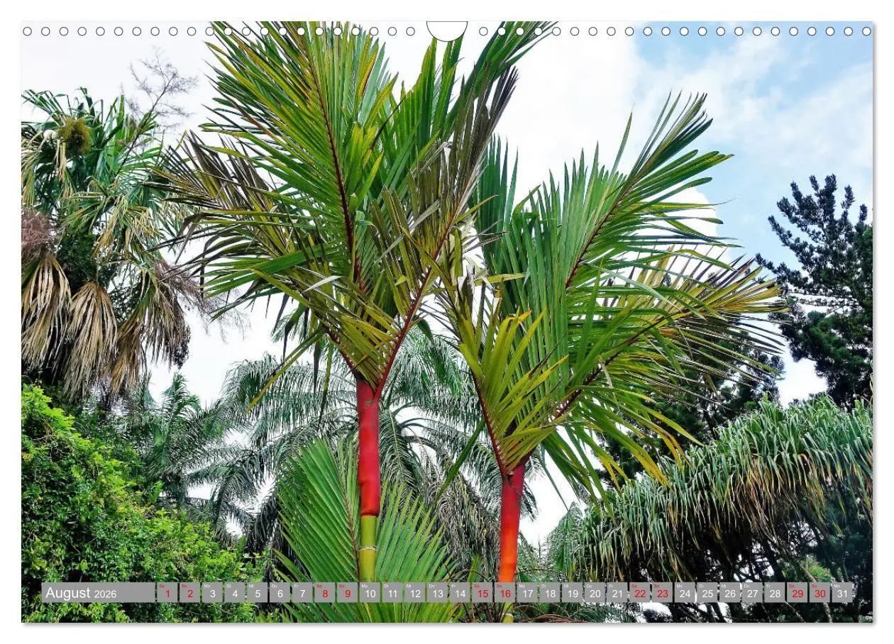 Bild: 9783457913024 | Auf Inseltour im Indischen Ozean (Wandkalender 2026 DIN A3 quer),...