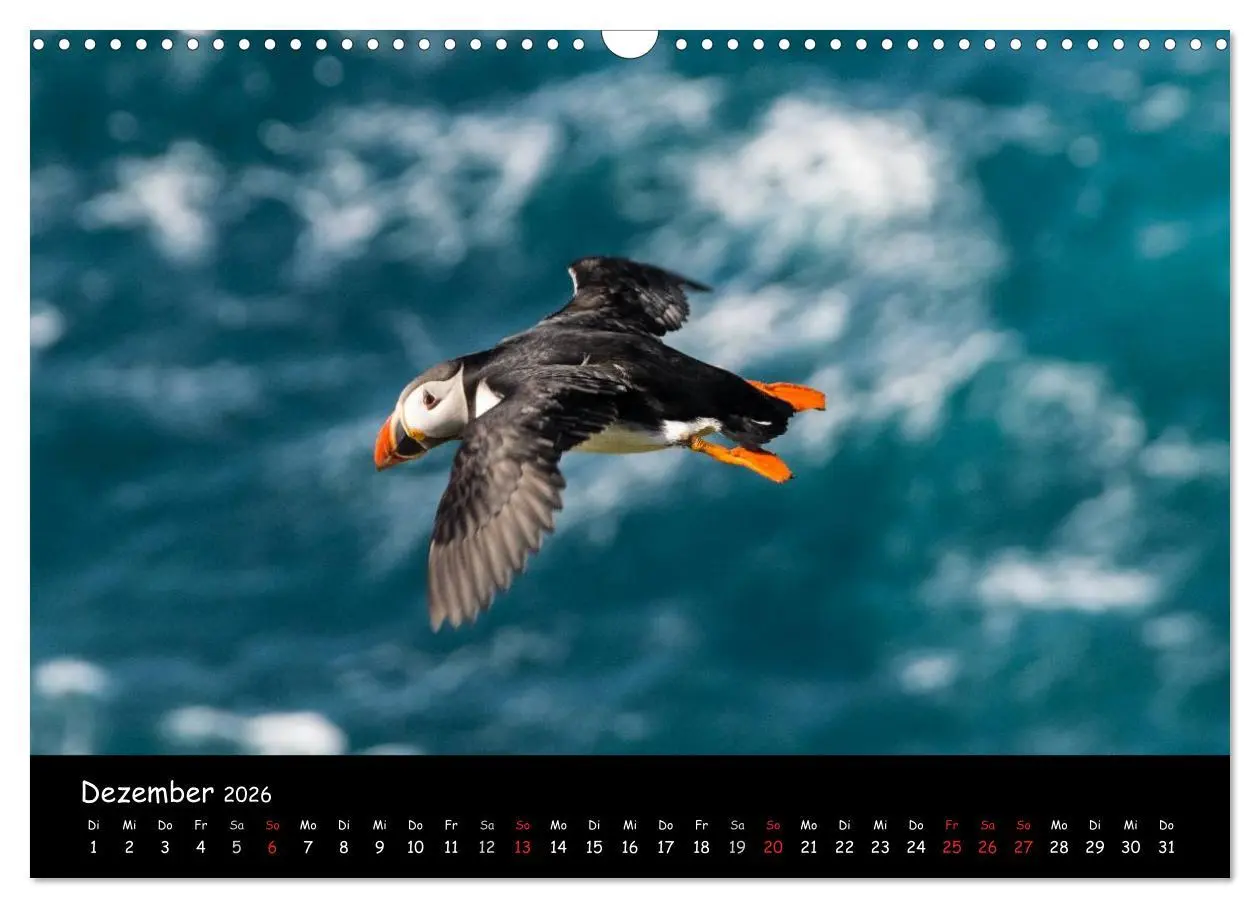 Bild: 9783516003024 | Die Papageientaucher von Mykines (Wandkalender 2026 DIN A3 quer),...