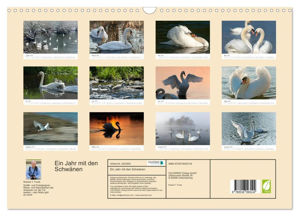 Bild: 9783516093124 | Ein Jahr mit den Schwänen (Wandkalender 2026 DIN A3 quer), CALVENDO...