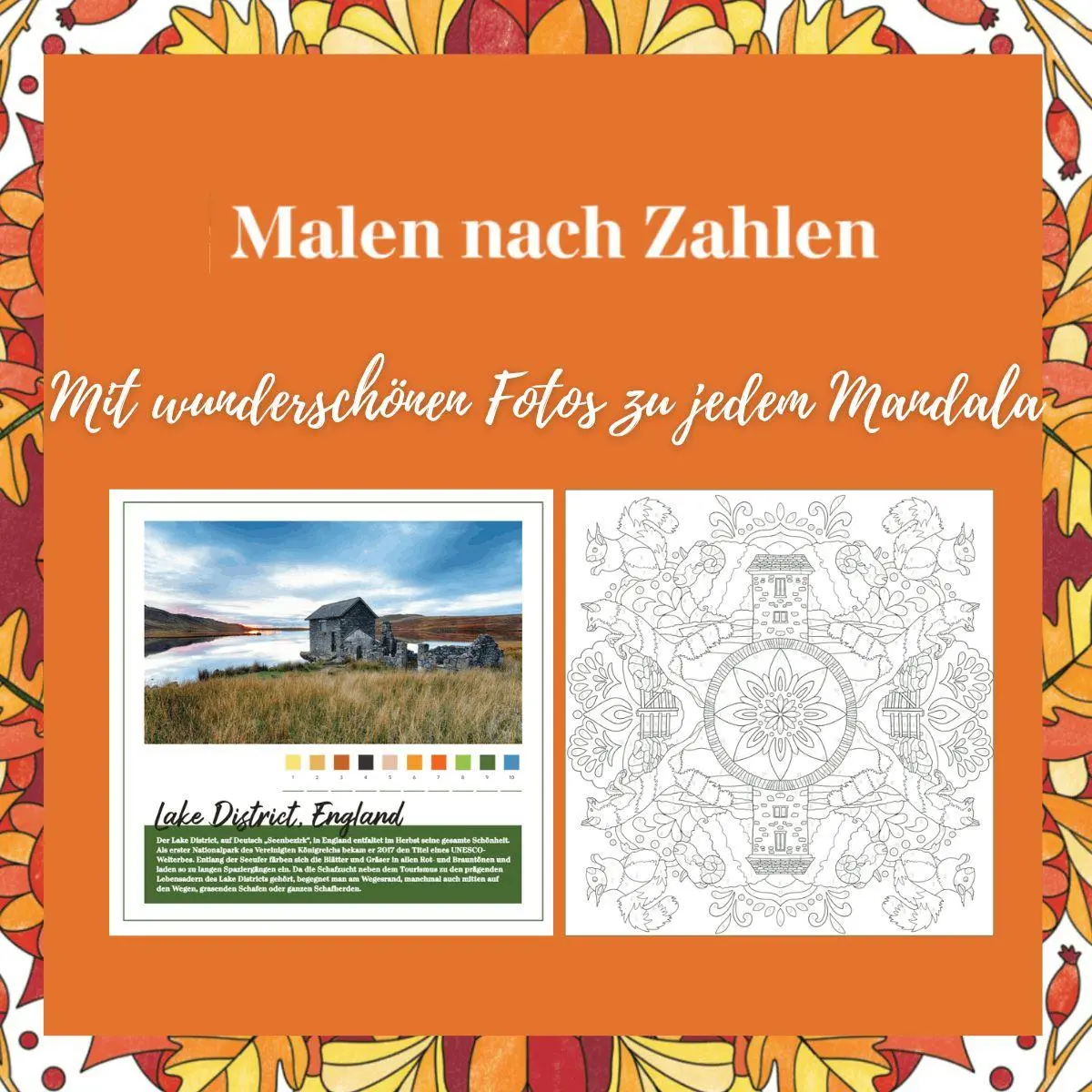 Bild: 9783735883124 | Mandala-Reise Herbst | Mila Dierksen | Taschenbuch | 64 S. | Deutsch