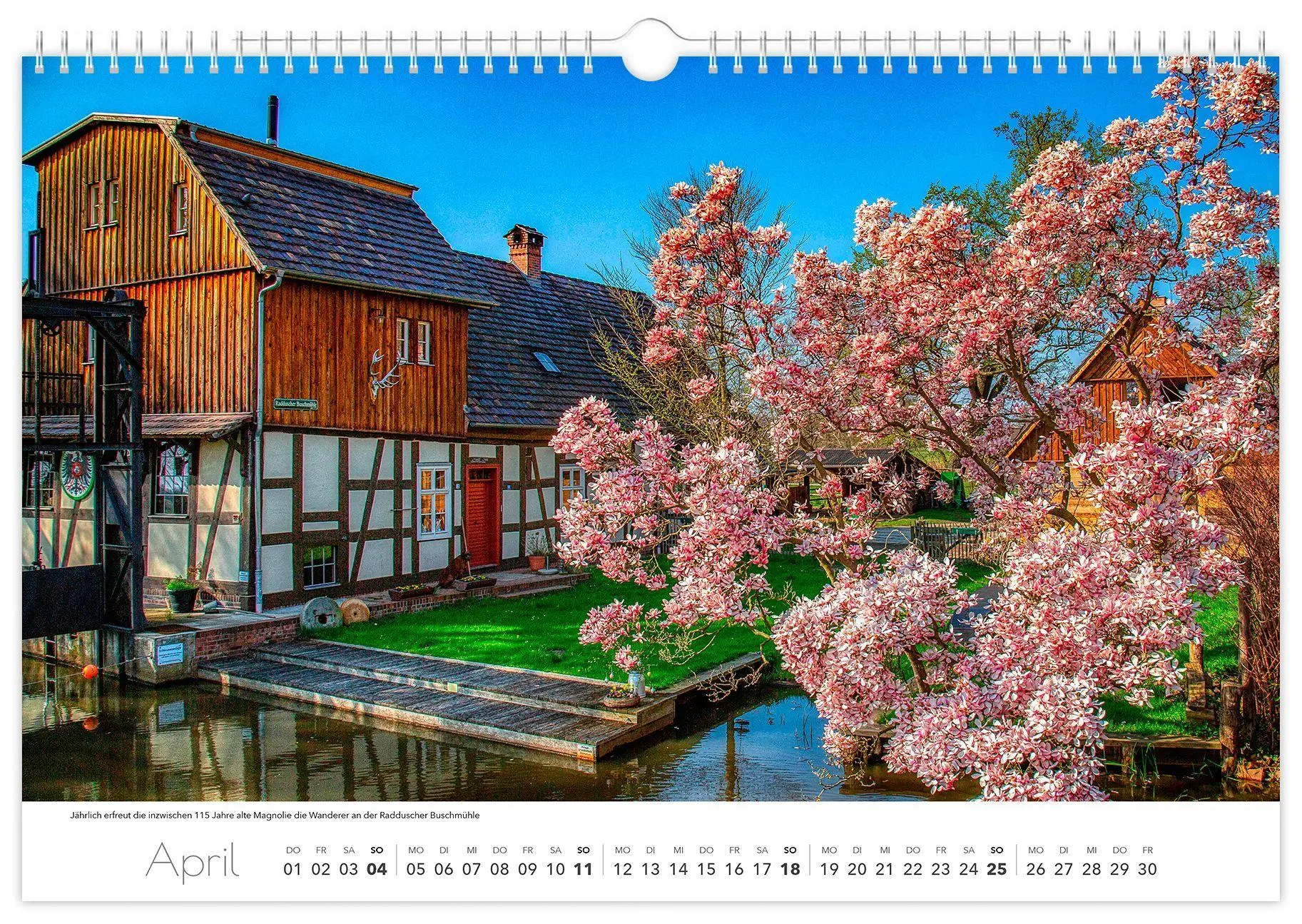 Bild: 9783912303124 | Kalender Spreewald 2027 | Peter Becker 45 x 30 cm weißes Kalendarium