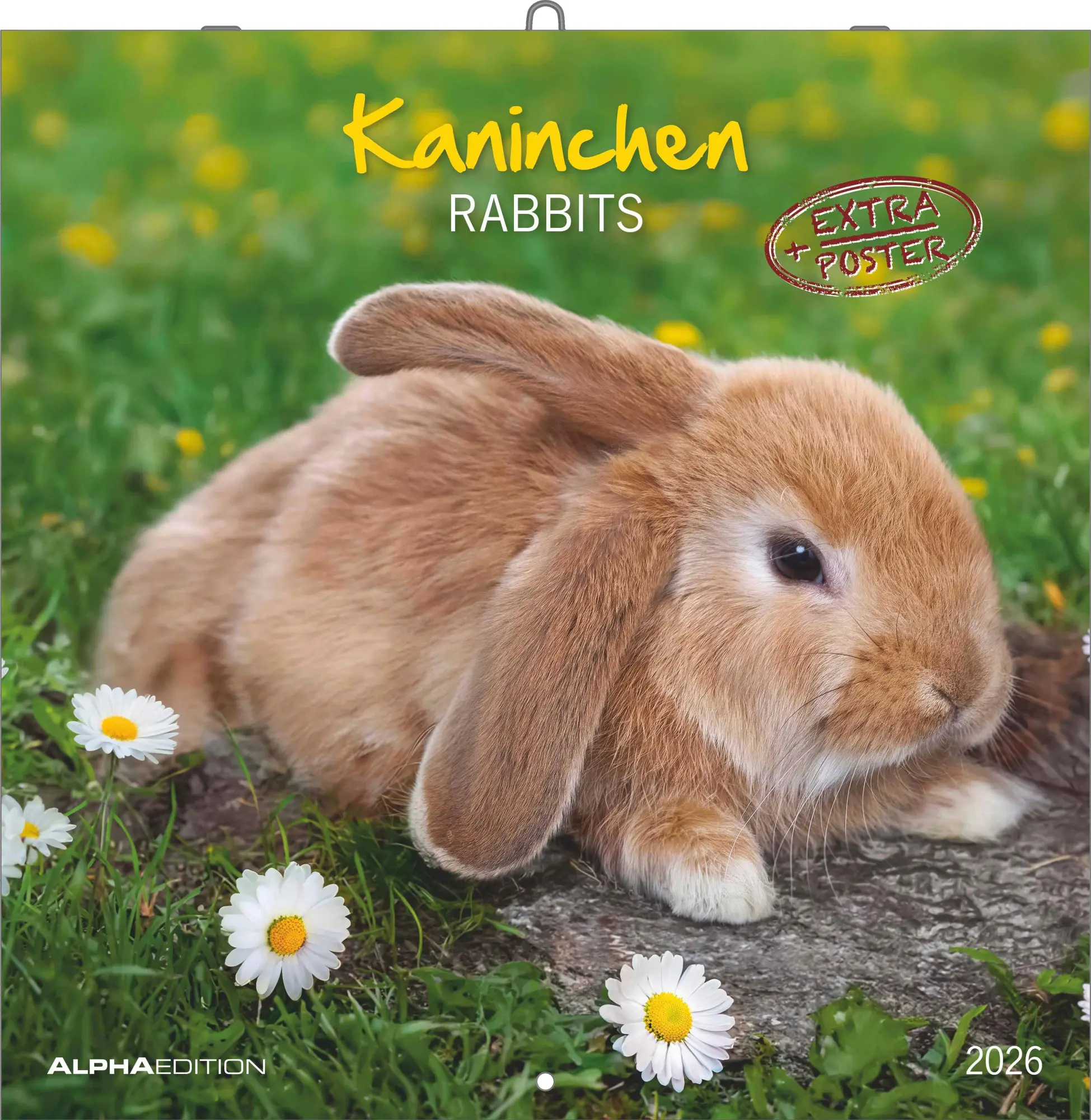 Cover: 4069095003224 | Kaninchen 2026 - Broschürenkalender 30x30 cm (30x60 geöffnet) -...