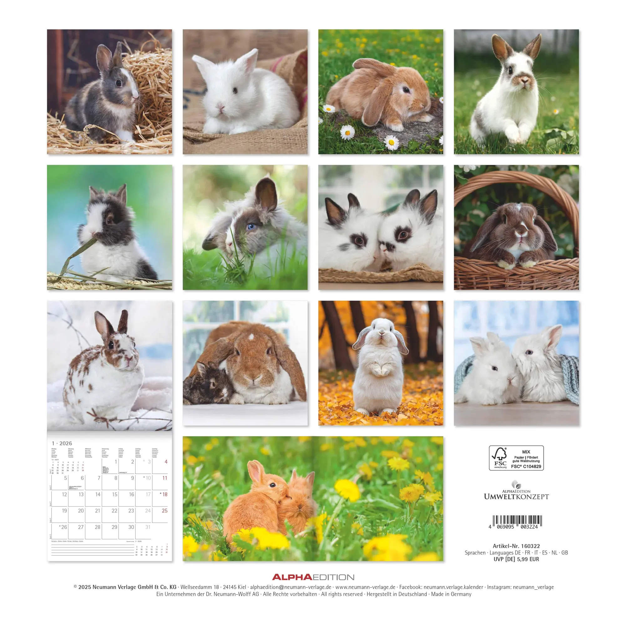 Rückseite: 4069095003224 | Kaninchen 2026 - Broschürenkalender 30x30 cm (30x60 geöffnet) -...