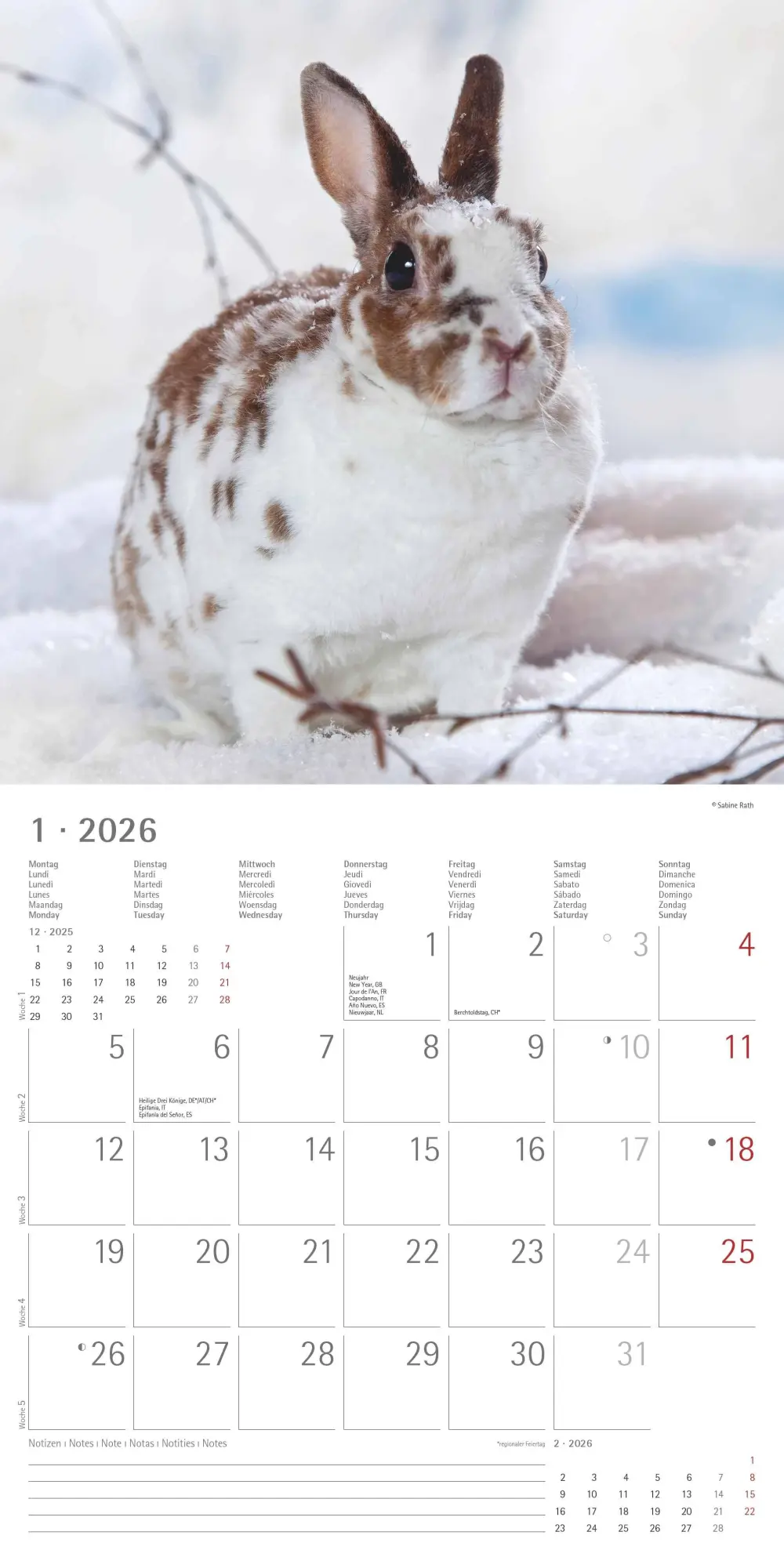 Bild: 4069095003224 | Kaninchen 2026 - Broschürenkalender 30x30 cm (30x60 geöffnet) -...