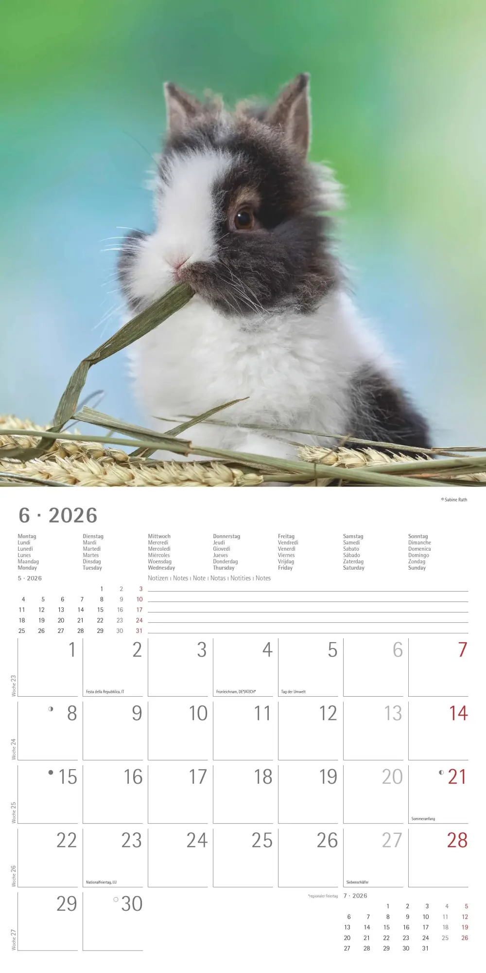 Bild: 4069095003224 | Kaninchen 2026 - Broschürenkalender 30x30 cm (30x60 geöffnet) -...