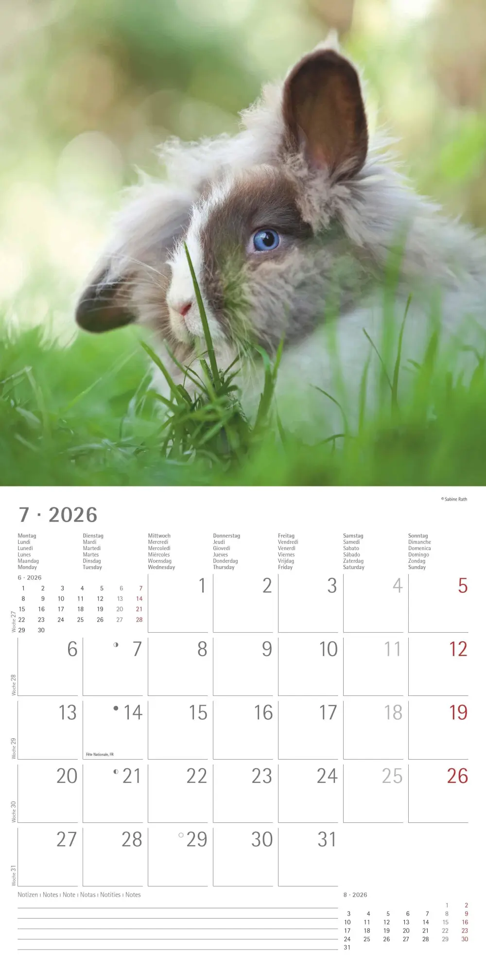 Bild: 4069095003224 | Kaninchen 2026 - Broschürenkalender 30x30 cm (30x60 geöffnet) -...