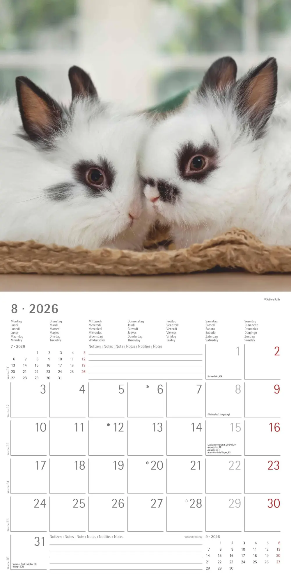 Bild: 4069095003224 | Kaninchen 2026 - Broschürenkalender 30x30 cm (30x60 geöffnet) -...