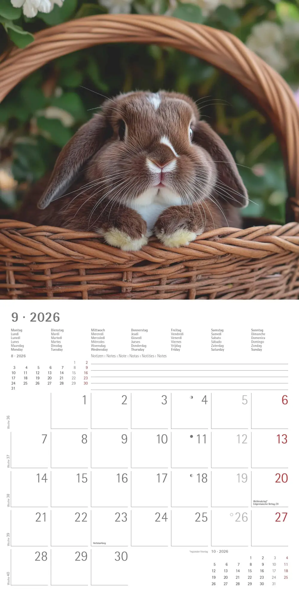 Bild: 4069095003224 | Kaninchen 2026 - Broschürenkalender 30x30 cm (30x60 geöffnet) -...