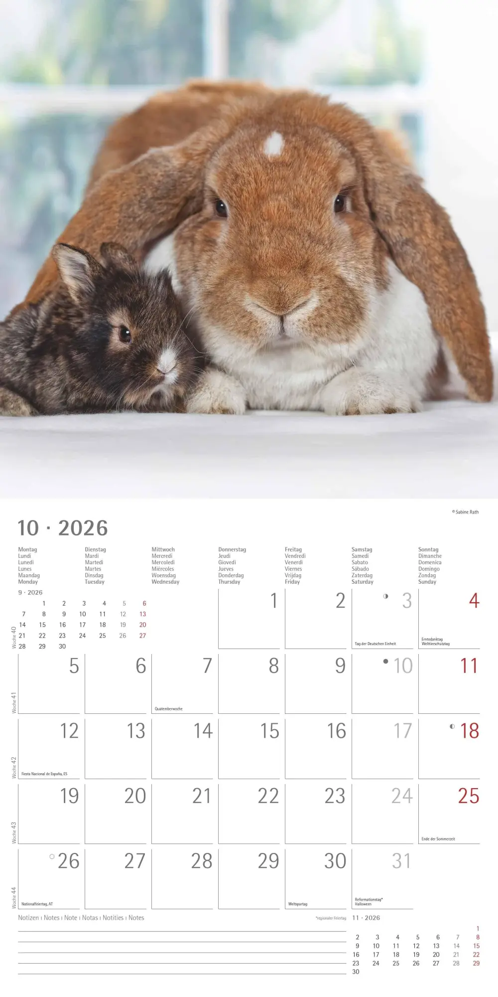 Bild: 4069095003224 | Kaninchen 2026 - Broschürenkalender 30x30 cm (30x60 geöffnet) -...