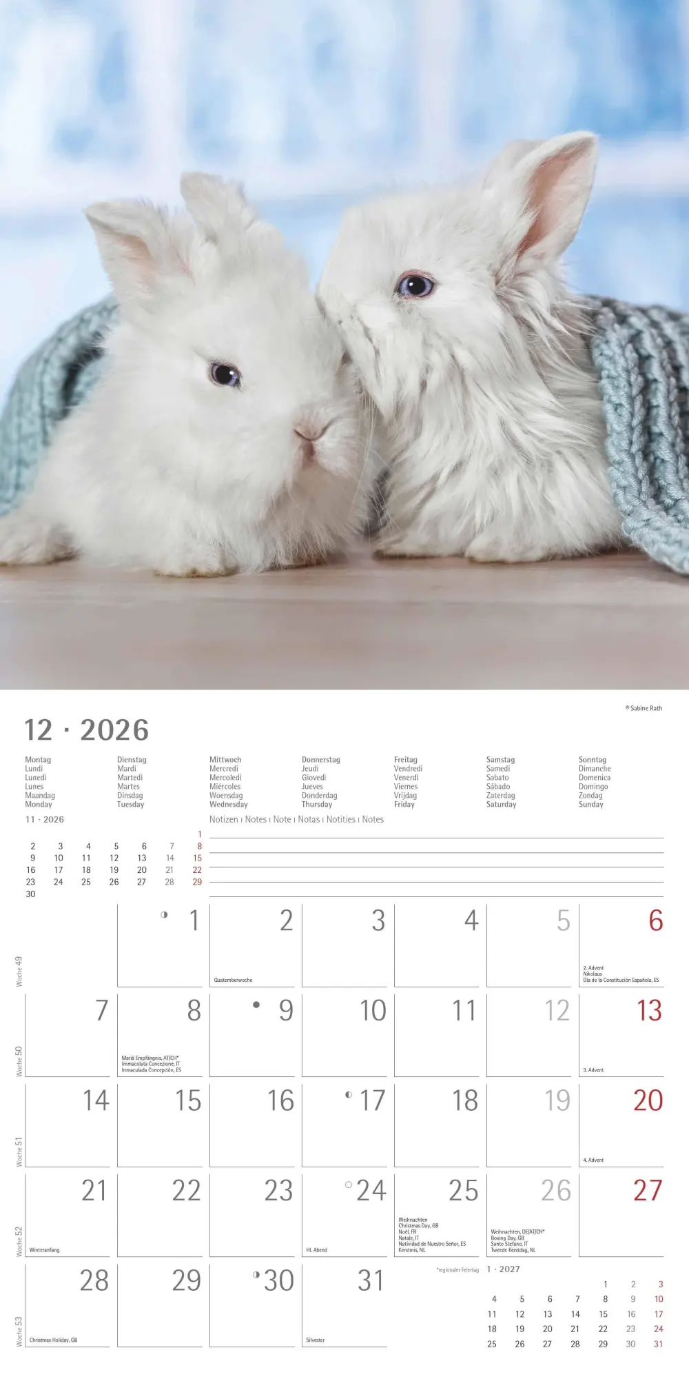 Bild: 4069095003224 | Kaninchen 2026 - Broschürenkalender 30x30 cm (30x60 geöffnet) -...