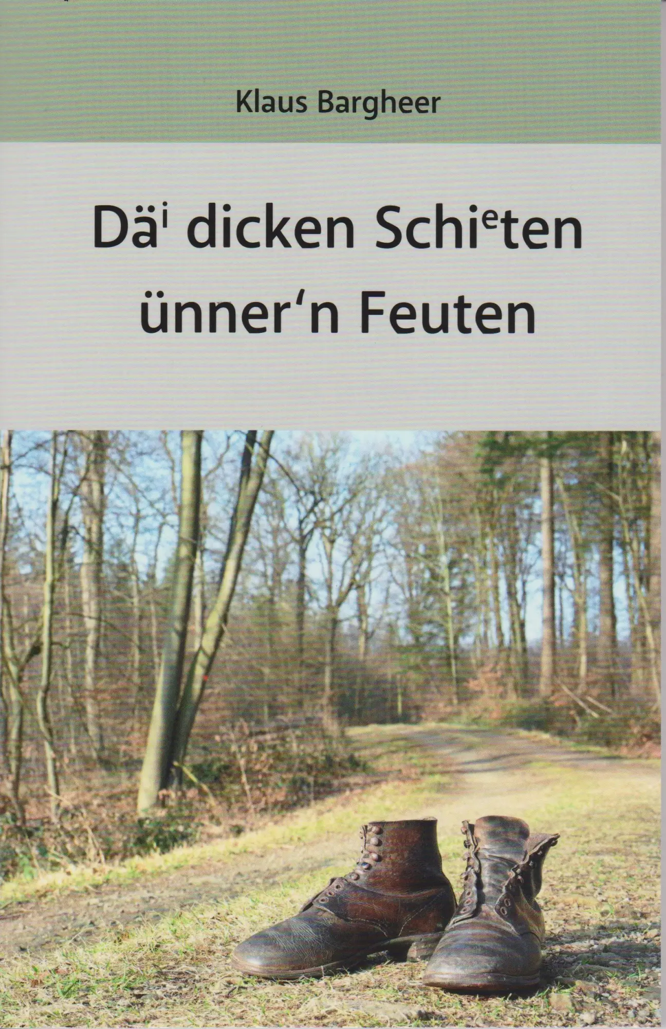 Cover: 9783730823224 | Däi dicken Schieten ünner'n Feuten | Klaus Bargheer | Taschenbuch