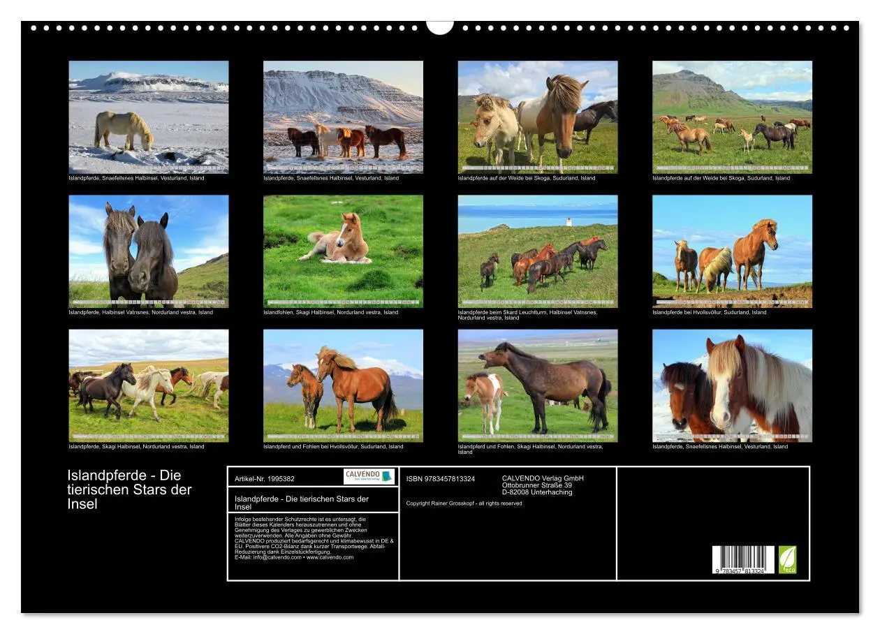 Bild: 9783457813324 | Islandpferde - Die tierischen Stars der Insel (Wandkalender 2026...