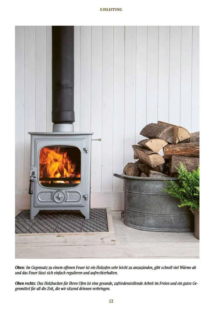 Bild: 9783702023324 | Holz - Ofen - Feuer | Anthony Bailey | Buch | 128 S. | Deutsch | 2026