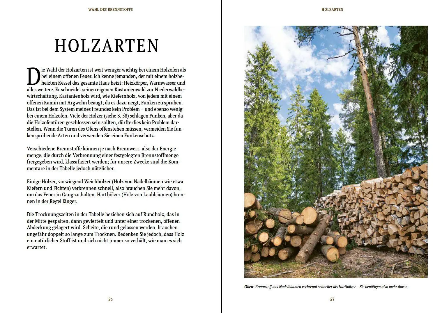 Bild: 9783702023324 | Holz - Ofen - Feuer | Anthony Bailey | Buch | 128 S. | Deutsch | 2026