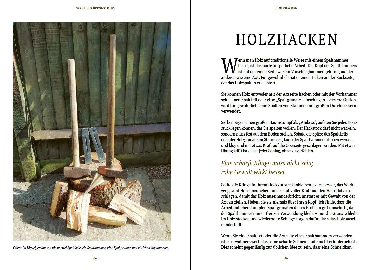 Bild: 9783702023324 | Holz - Ofen - Feuer | Anthony Bailey | Buch | 128 S. | Deutsch | 2026