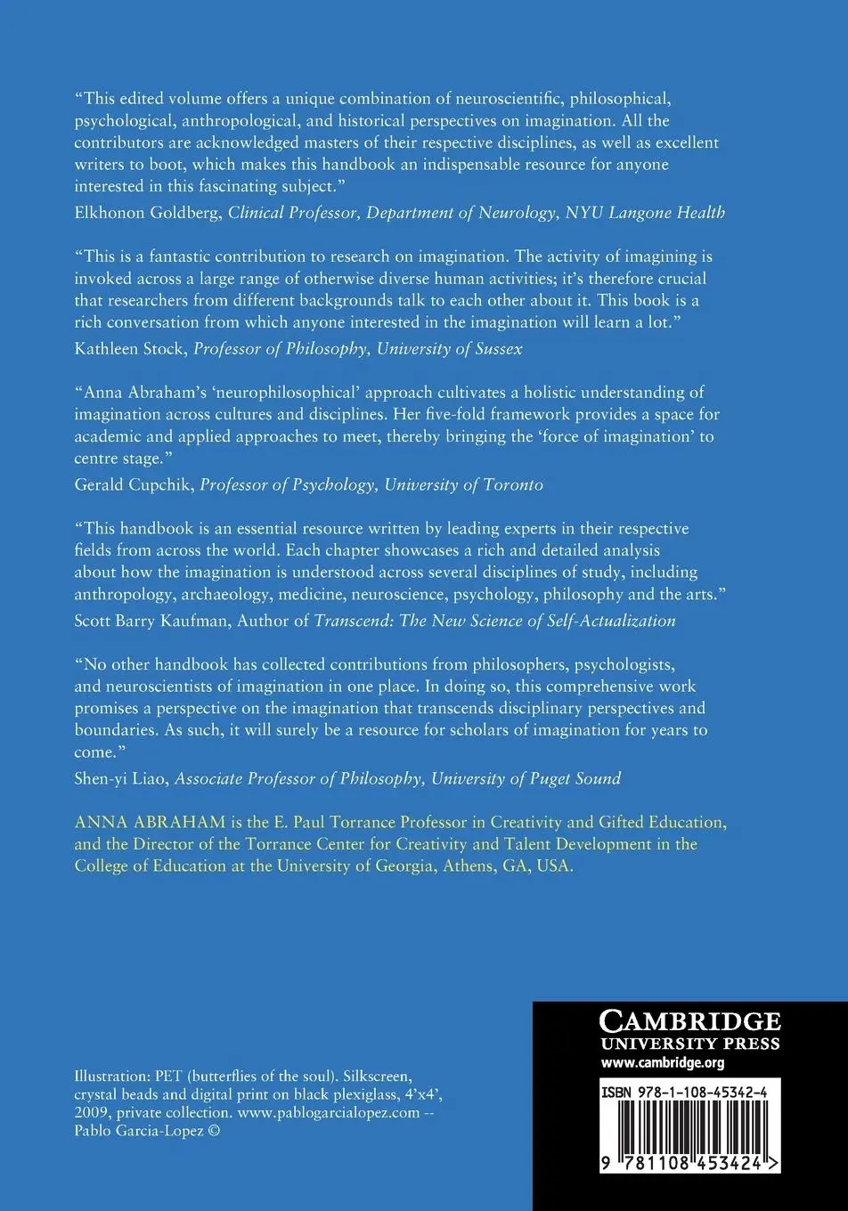 Rückseite: 9781108453424 | The Cambridge Handbook of the Imagination | Anna Abraham | Taschenbuch