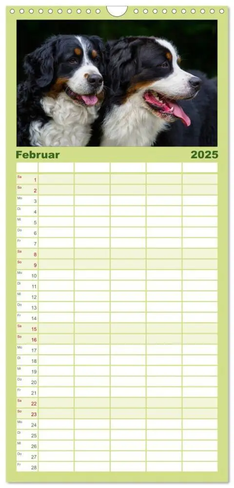 Bild: 9783457113424 | Familienplaner 2025 - Treuer Freund Berner Sennenhund mit 5 Spalten...