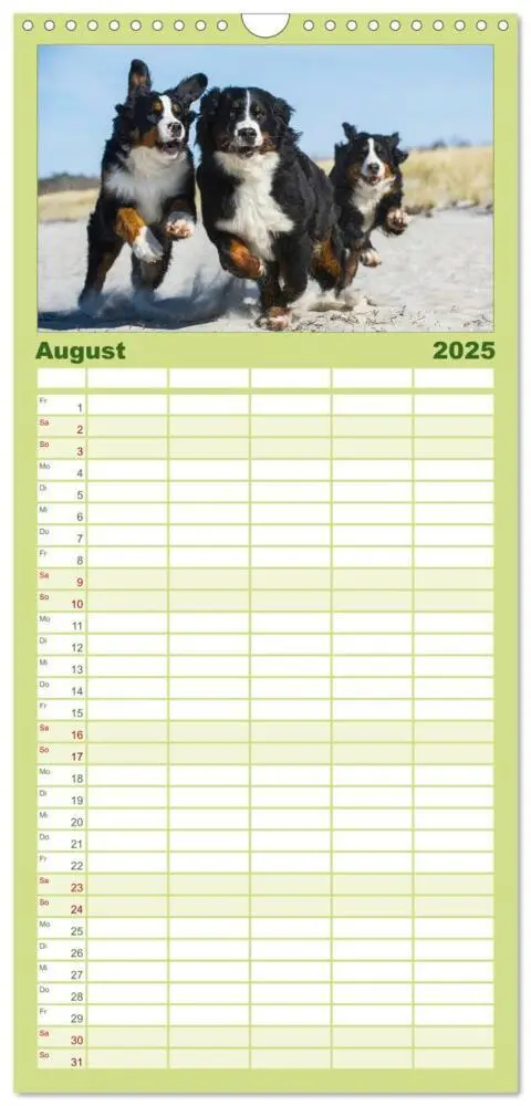 Bild: 9783457113424 | Familienplaner 2025 - Treuer Freund Berner Sennenhund mit 5 Spalten...