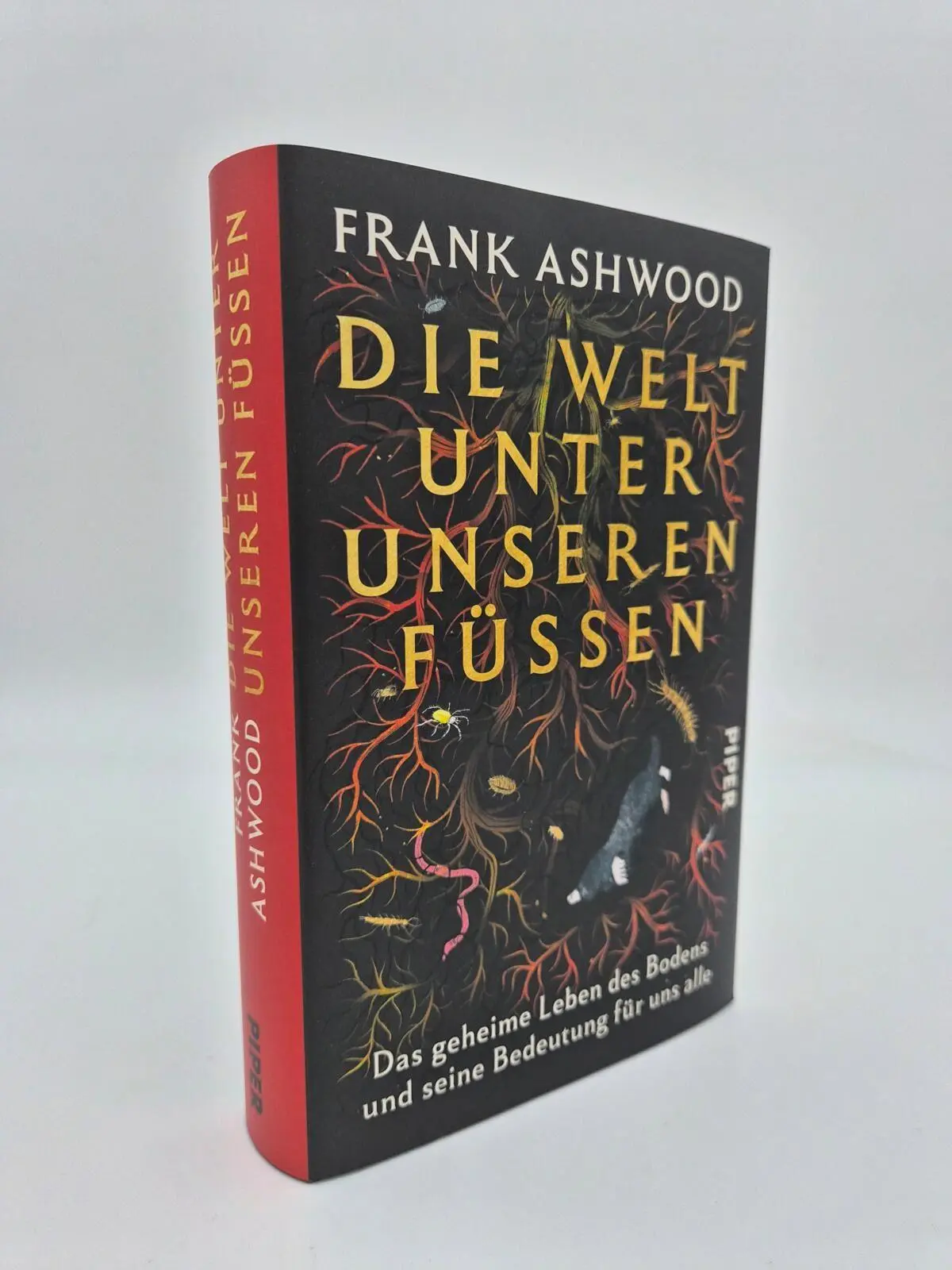 Bild: 9783492073424 | Die Welt unter unseren Füßen | Frank Ashwood | Buch | 336 S. | Deutsch
