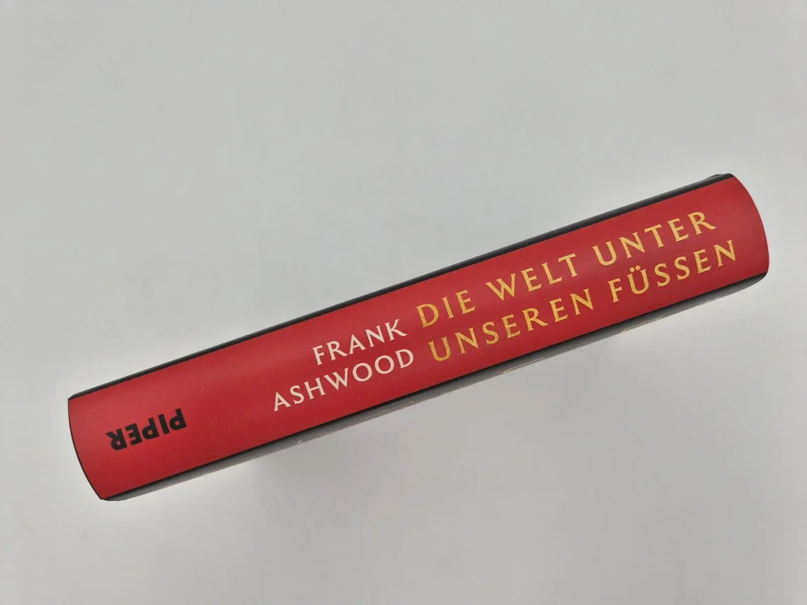 Bild: 9783492073424 | Die Welt unter unseren Füßen | Frank Ashwood | Buch | 336 S. | Deutsch