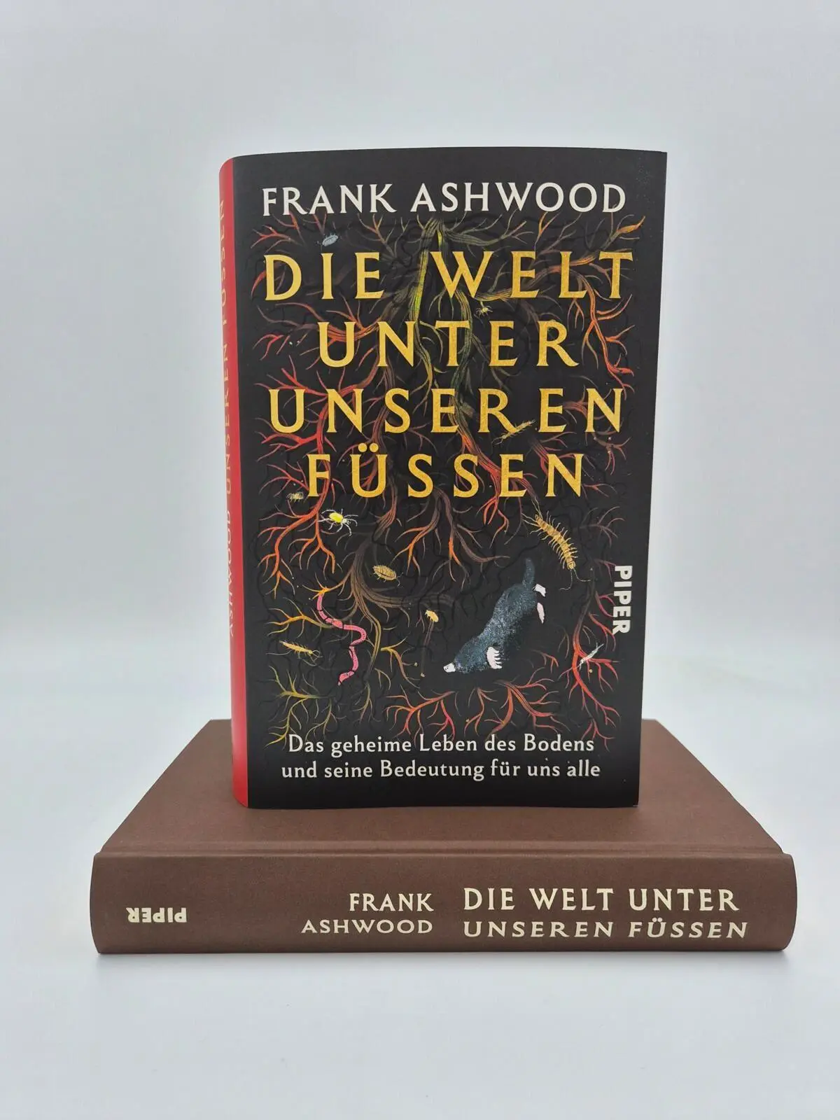 Bild: 9783492073424 | Die Welt unter unseren Füßen | Frank Ashwood | Buch | 336 S. | Deutsch