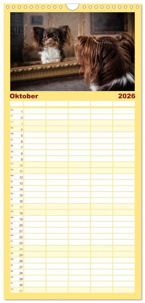 Bild: 9783516513424 | Familienplaner 2026 - Chihuahuas - Cool and Cute mit 5 Spalten...