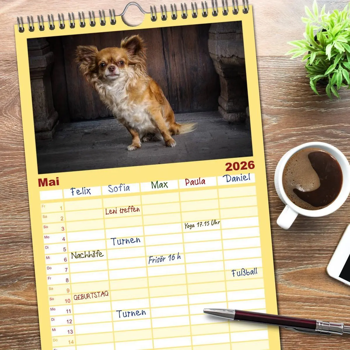 Bild: 9783516513424 | Familienplaner 2026 - Chihuahuas - Cool and Cute mit 5 Spalten...