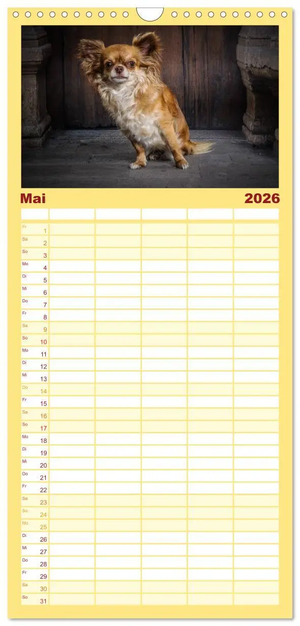 Bild: 9783516513424 | Familienplaner 2026 - Chihuahuas - Cool and Cute mit 5 Spalten...