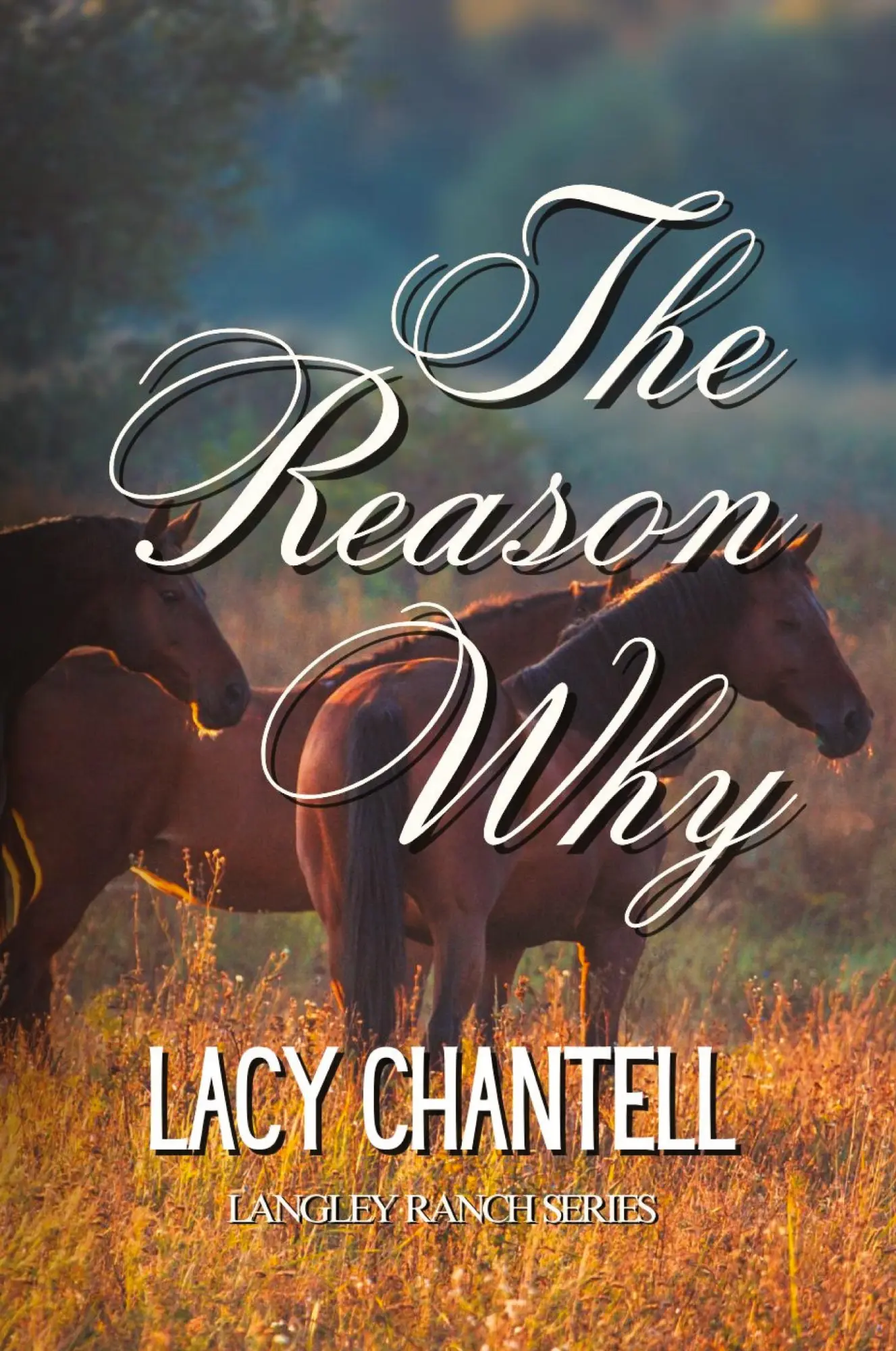 Cover: 9798869163424 | The Reason Why | Lacy Chantell | Taschenbuch | Englisch | 2024