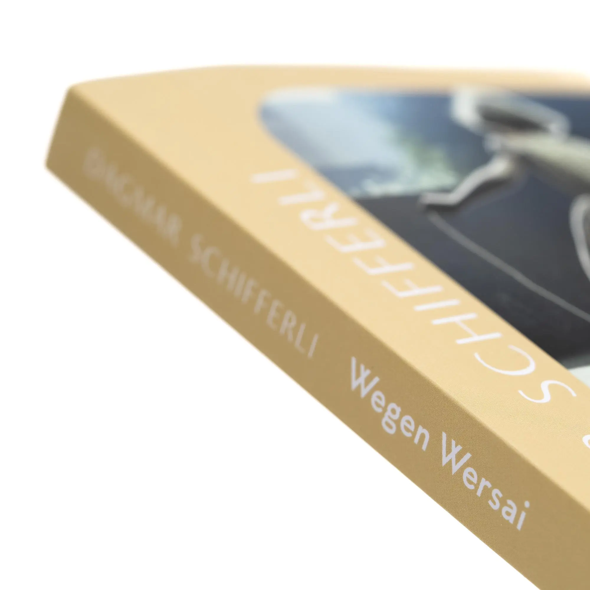 Bild: 9783312013524 | Wegen Wersai | Dagmar Schifferli | Taschenbuch | 192 S. | Deutsch