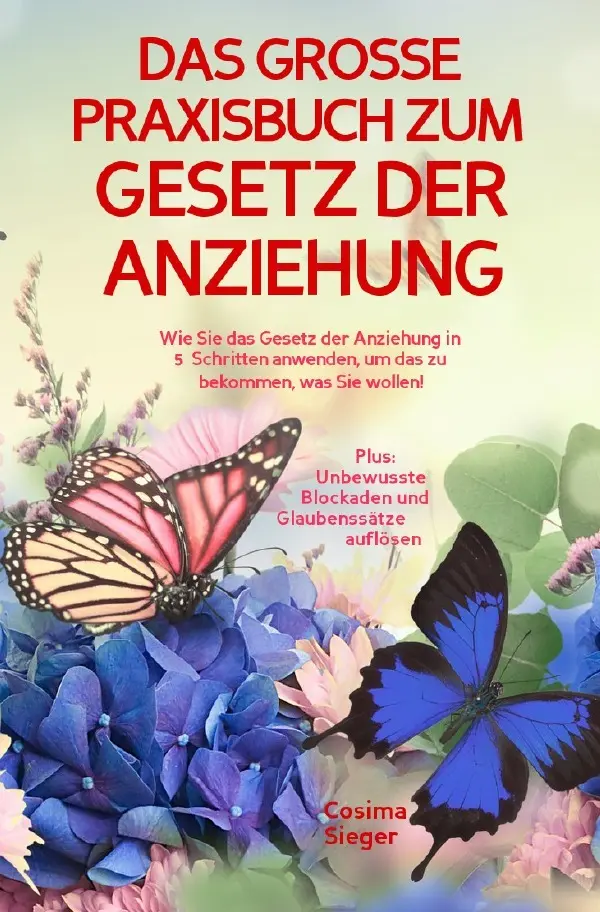 Cover: 9783757553524 | DAS GROSSE PRAXISBUCH ZUM GESETZ DER ANZIEHUNG! Wie Sie das Gesetz...