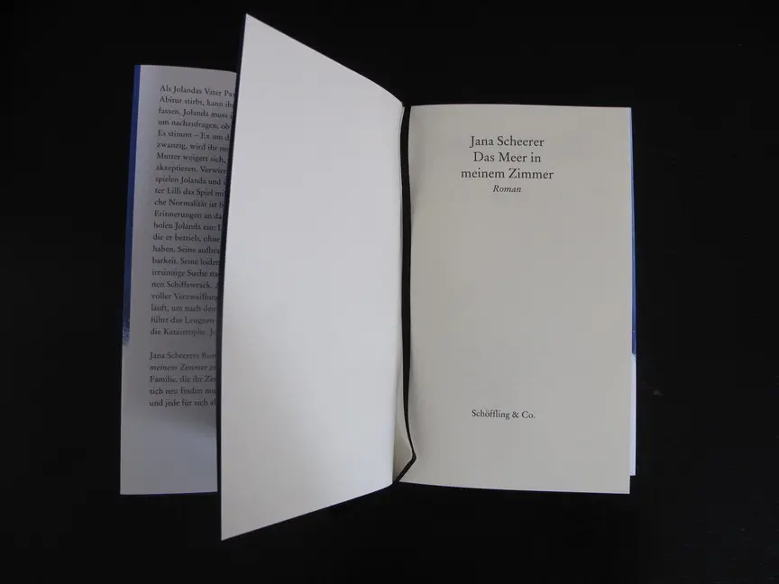 Bild: 9783895613524 | Das Meer in meinem Zimmer | Jana Scheerer | Buch | Mit Lesebändchen