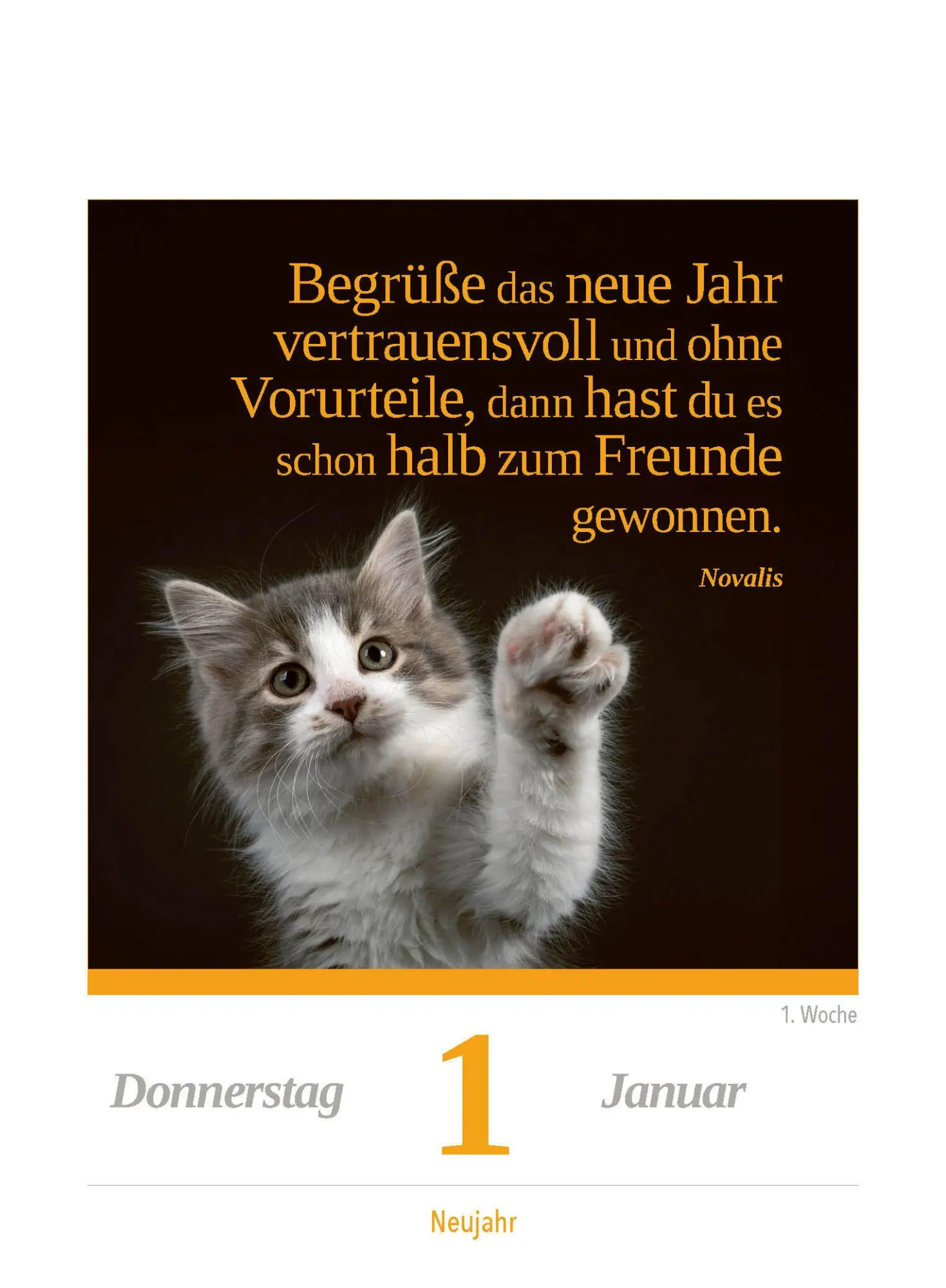 Bild: 9783517103624 | Eine Katze für jeden Tag 2026 - Tagesabreißkalender zum Aufstellen...