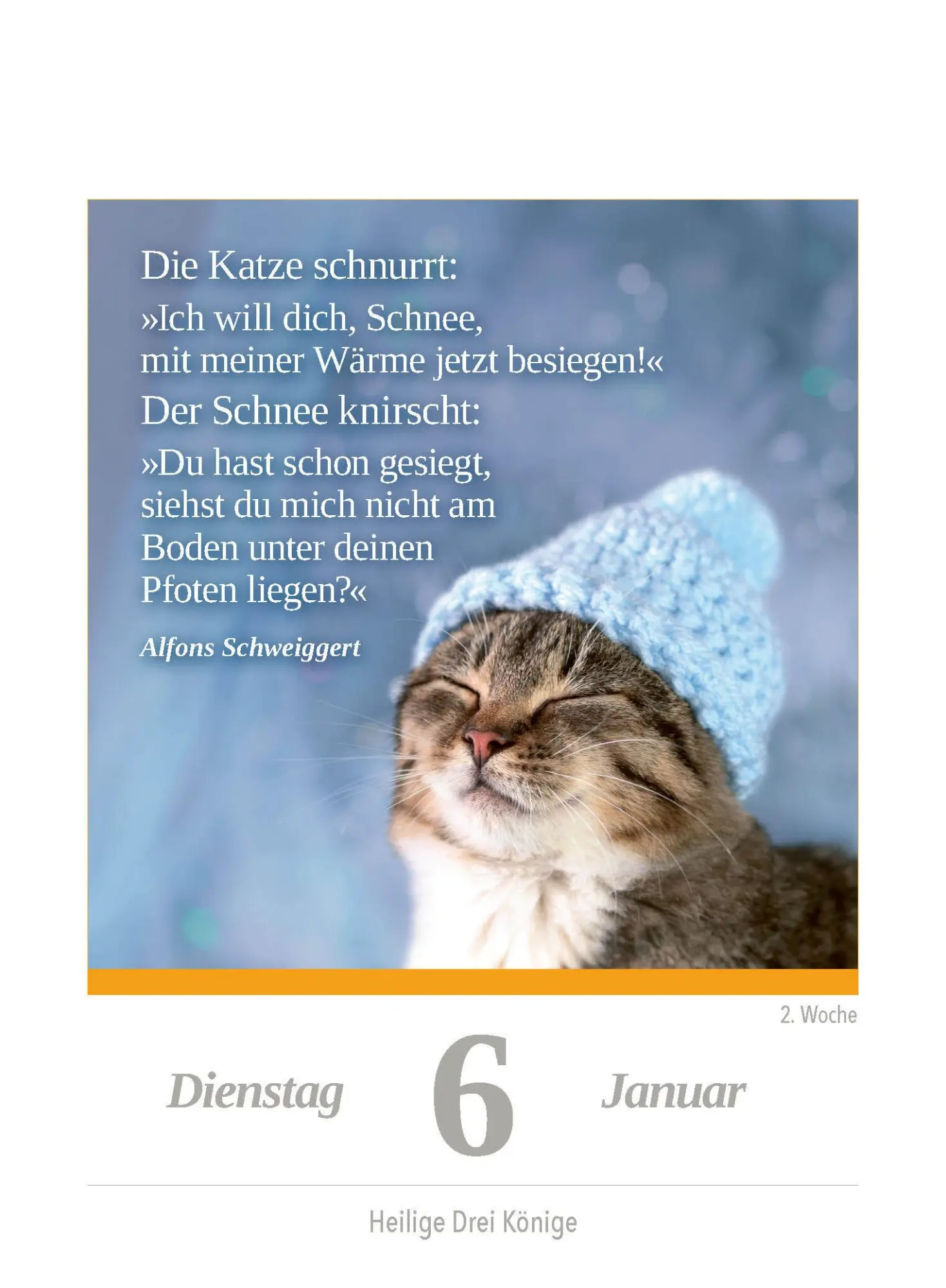 Bild: 9783517103624 | Eine Katze für jeden Tag 2026 - Tagesabreißkalender zum Aufstellen...