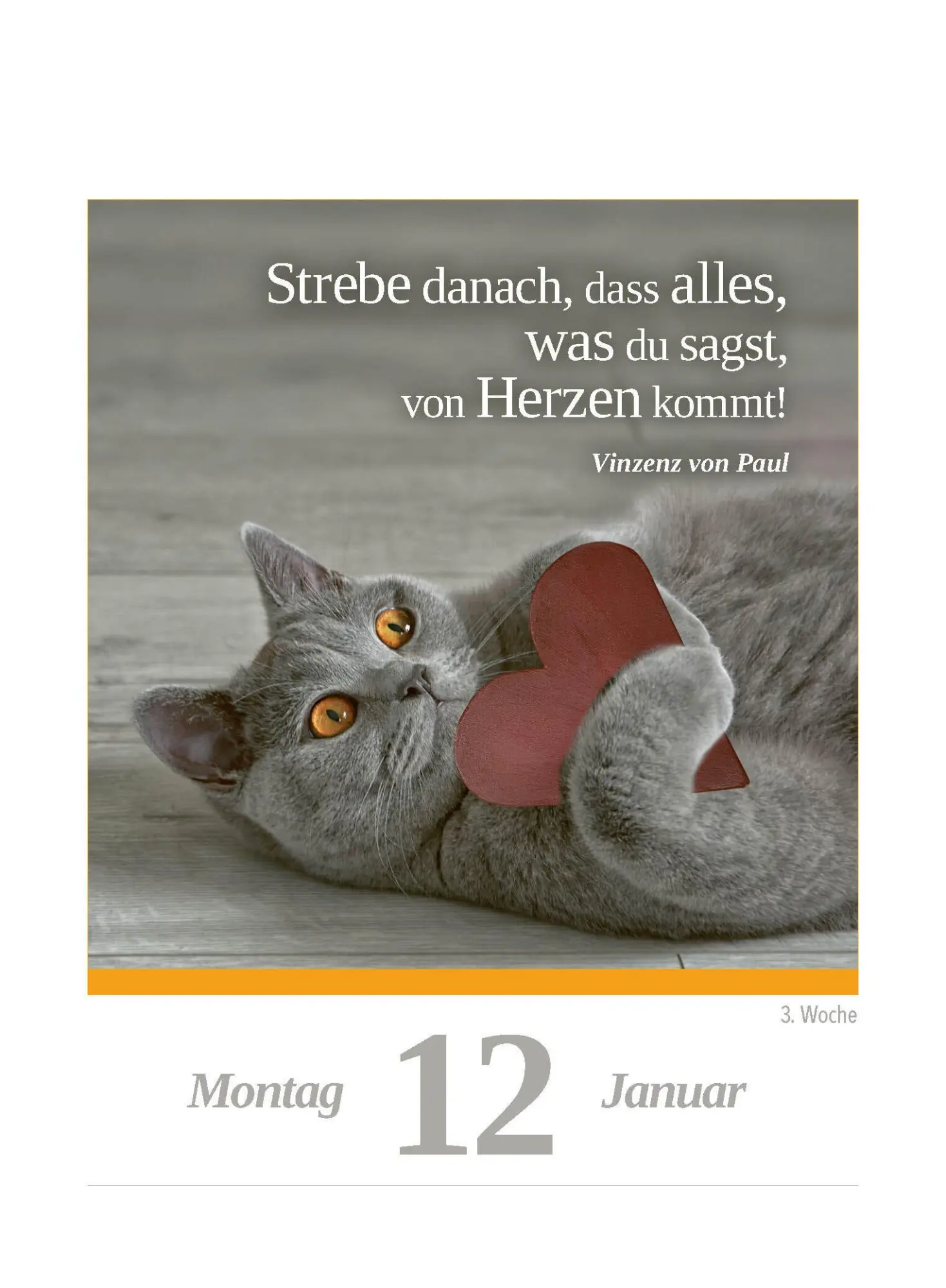 Bild: 9783517103624 | Eine Katze für jeden Tag 2026 - Tagesabreißkalender zum Aufstellen...