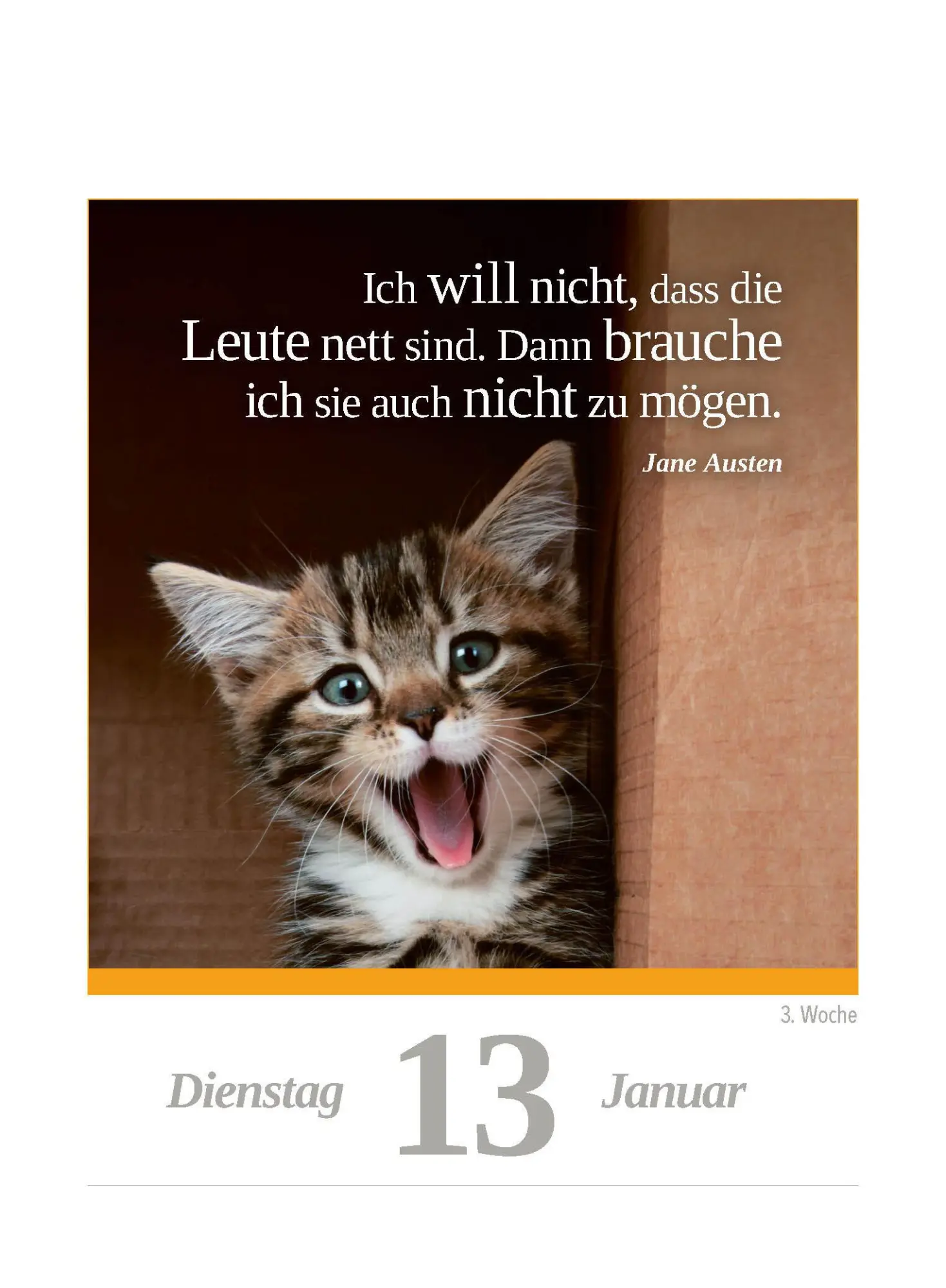 Bild: 9783517103624 | Eine Katze für jeden Tag 2026 - Tagesabreißkalender zum Aufstellen...