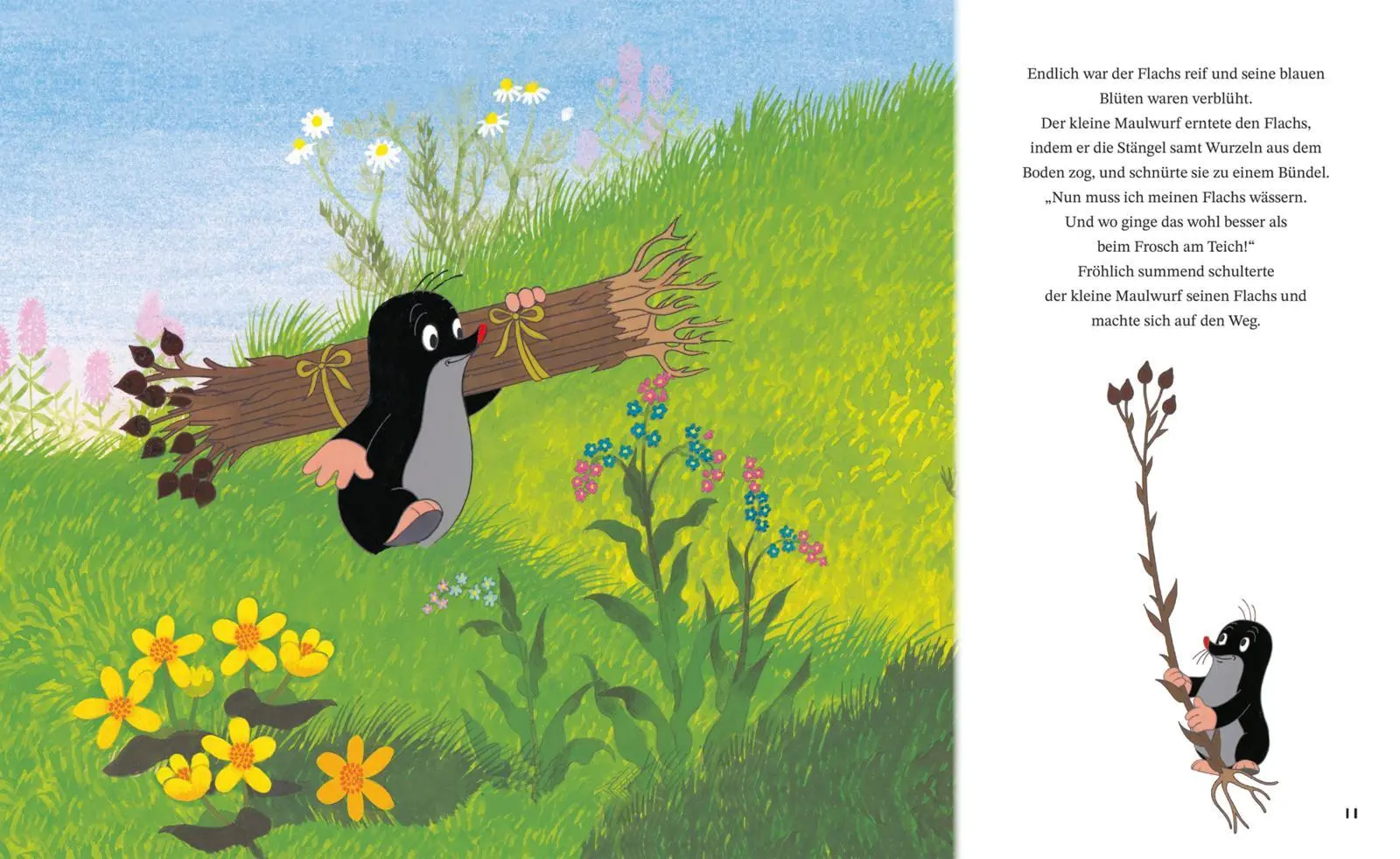 Bild: 9783551523624 | Wie der kleine Maulwurf zu seiner Hose kam | Zden¿k Miler | Buch