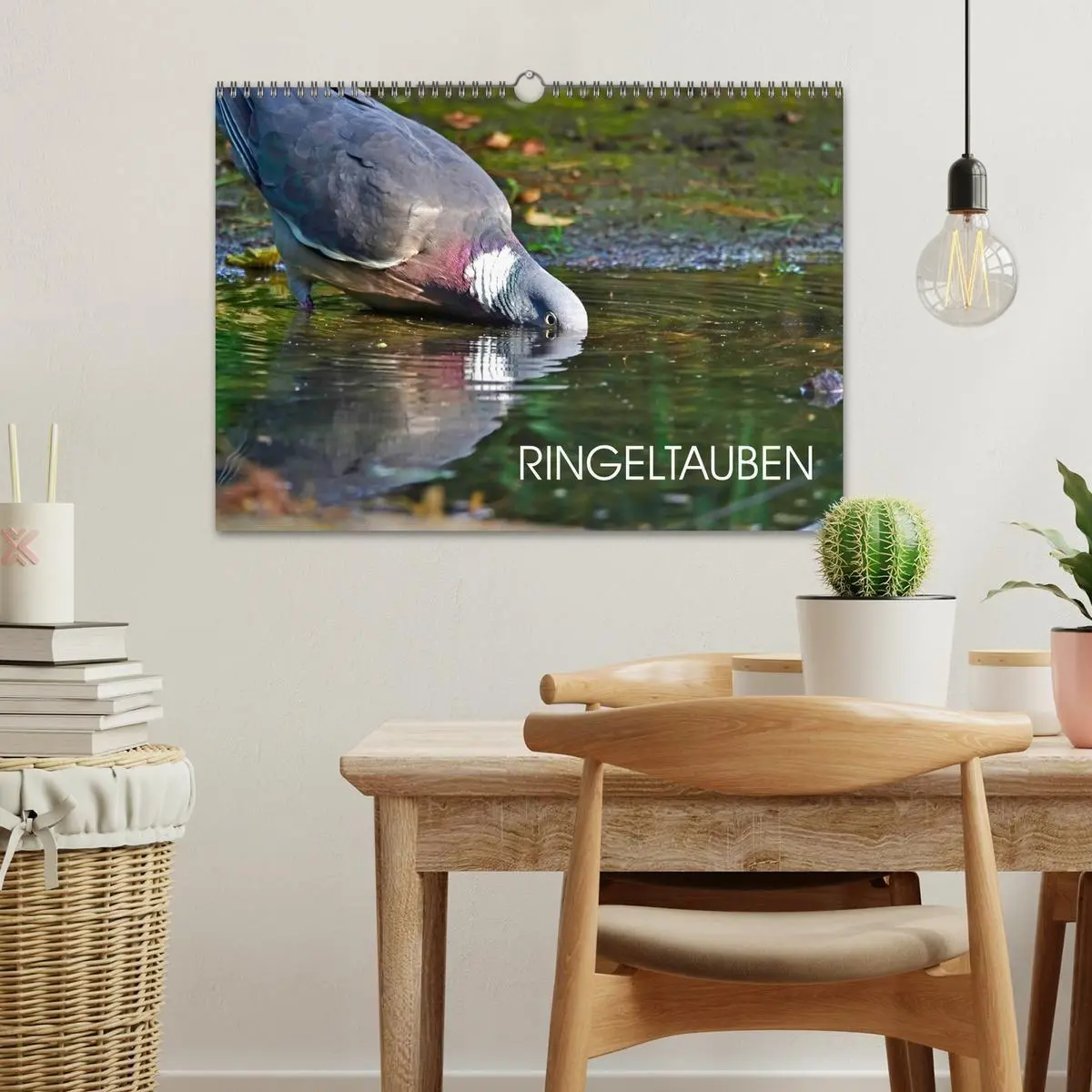 Bild: 9783569513624 | Ringeltauben (Wandkalender 2027 DIN A3 quer), CALVENDO Monatskalender