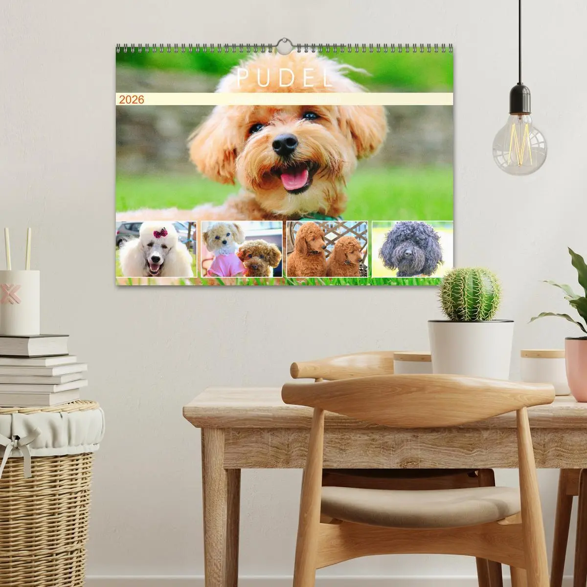 Bild: 9783457633724 | Pudel. Lustige Allrounder im Wollfell (Wandkalender 2026 DIN A3...