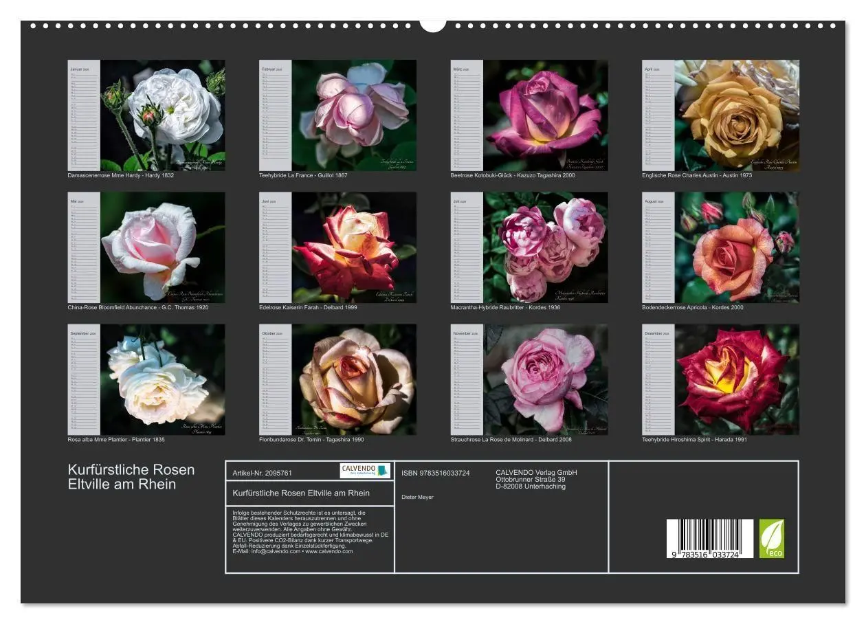 Bild: 9783516033724 | Kurfürstliche Rosen Eltville am Rhein (hochwertiger Premium...