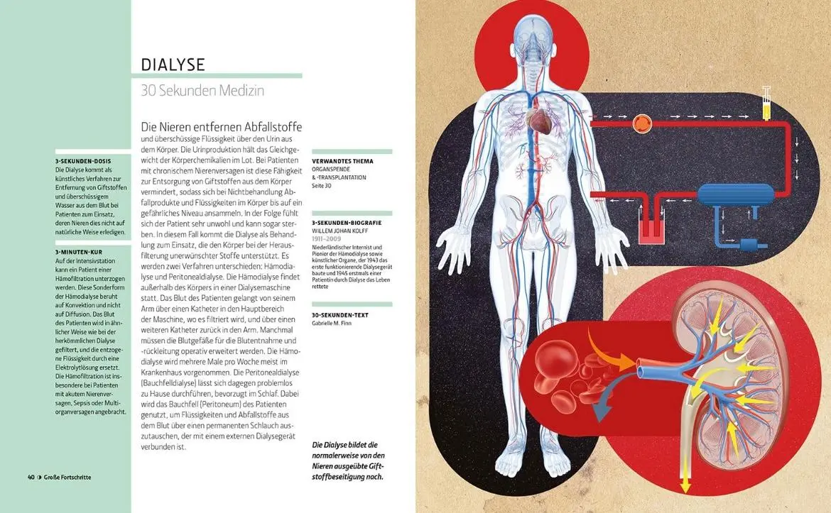 Bild: 9789463593724 | MEDIZIN IN 30 SEKUNDEN | Gabrielle M. Finn | Buch | 160 S. | Deutsch