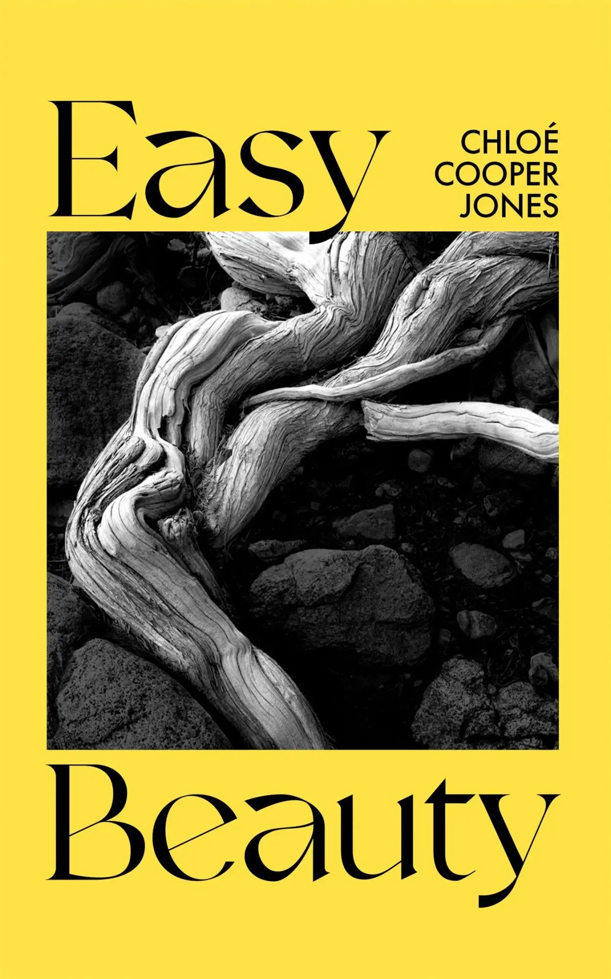 Cover: 9780349013824 | Easy Beauty | On Seeing and Being Seen | Chloe Cooper Jones | Buch
