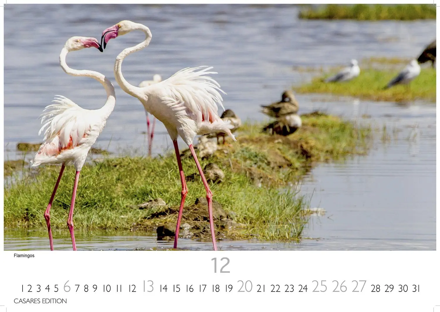 Bild: 9781835243824 | Kenia/Serengeti 2026 L 35x50cm | Kalender | 14 S. | Deutsch | 2026