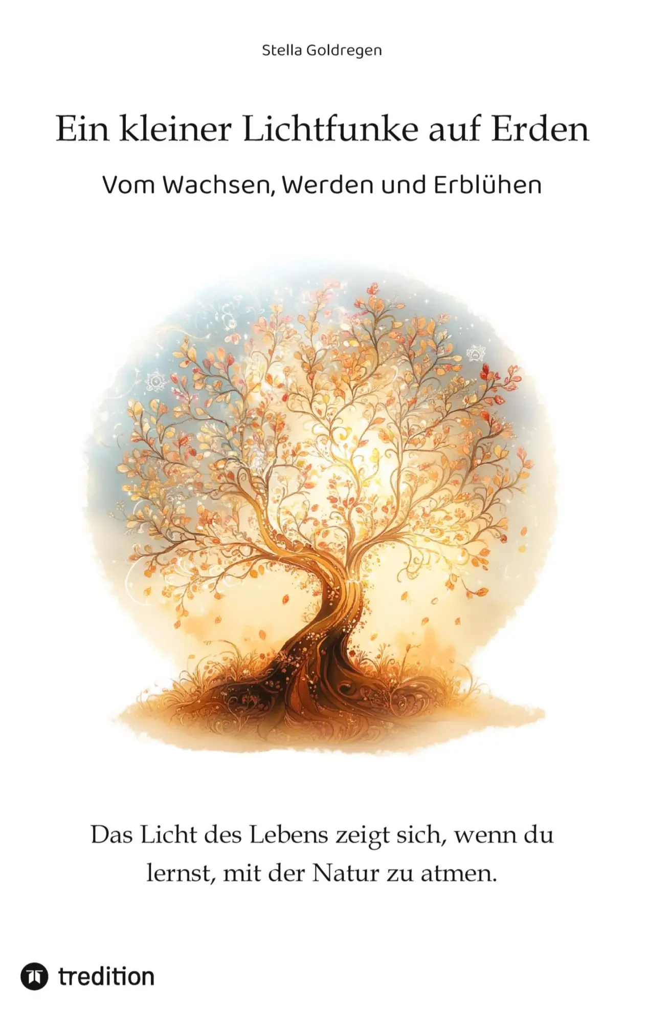 Cover: 9783384433824 | Ein kleiner Lichtfunke auf Erden | Vom Wachsen, Werden und Erblühen