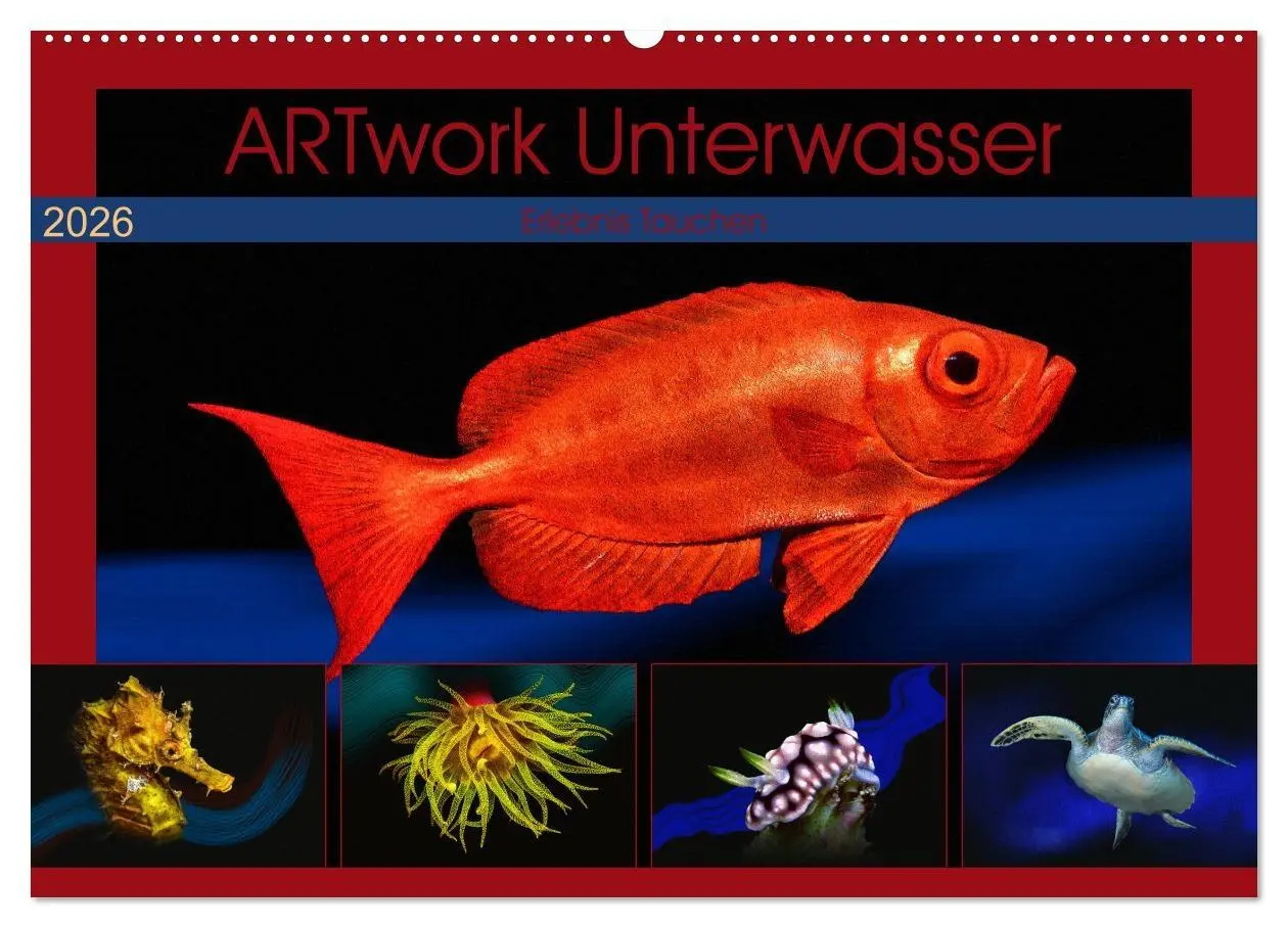 Cover: 9783457863824 | Artwork Unterwasser - Erlebnis Tauchen (Wandkalender 2026 DIN A2...