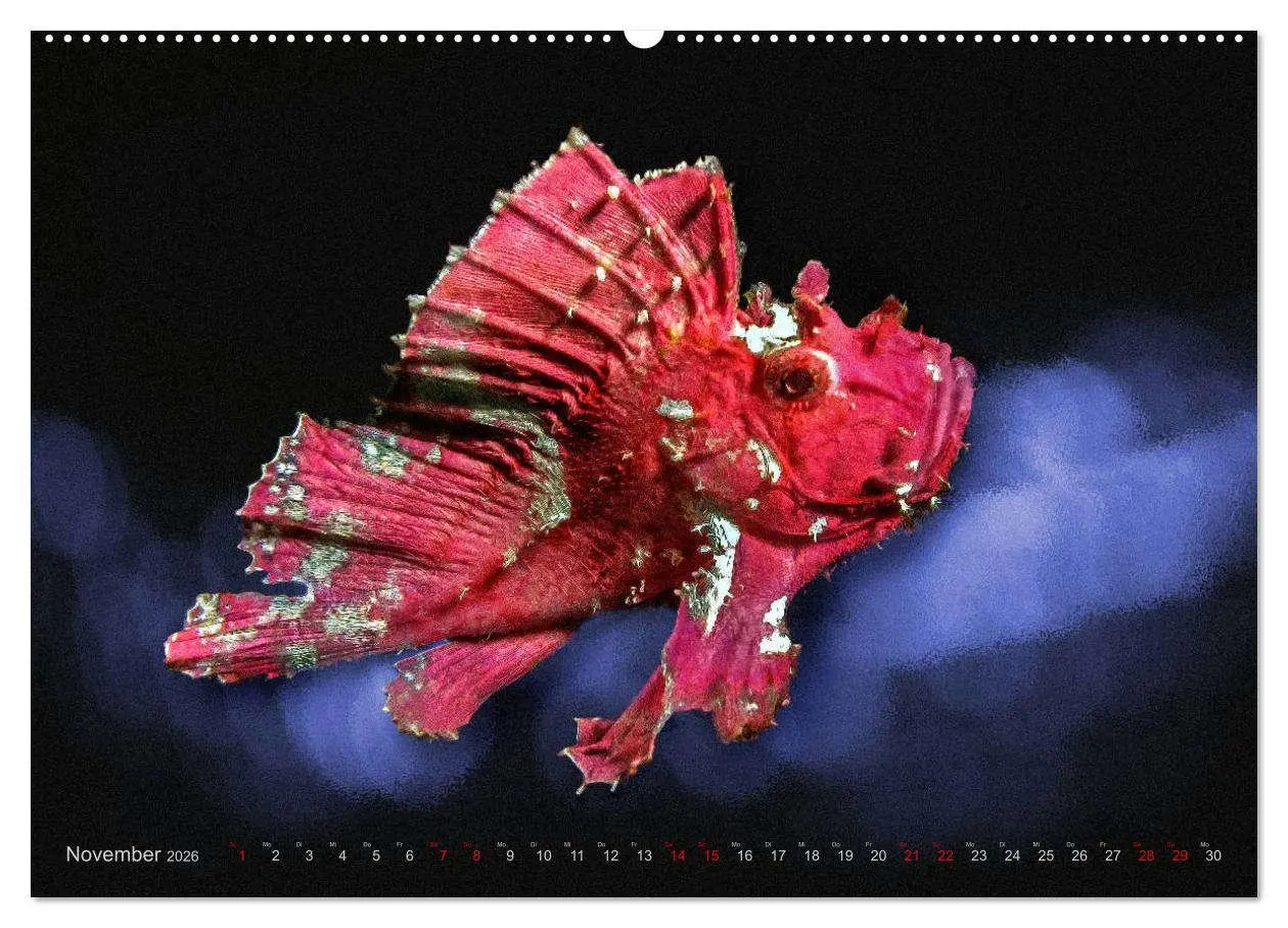 Bild: 9783457863824 | Artwork Unterwasser - Erlebnis Tauchen (Wandkalender 2026 DIN A2...