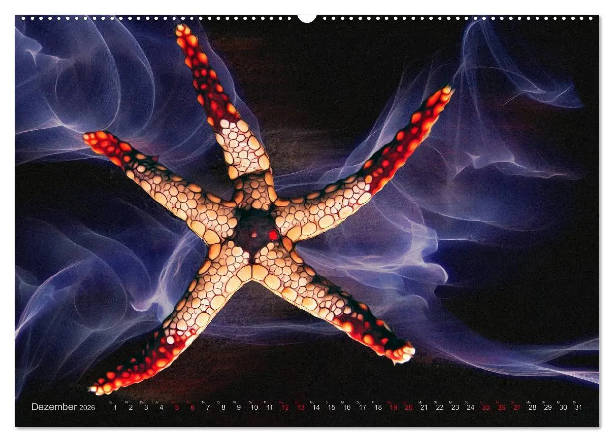 Bild: 9783457863824 | Artwork Unterwasser - Erlebnis Tauchen (Wandkalender 2026 DIN A2...