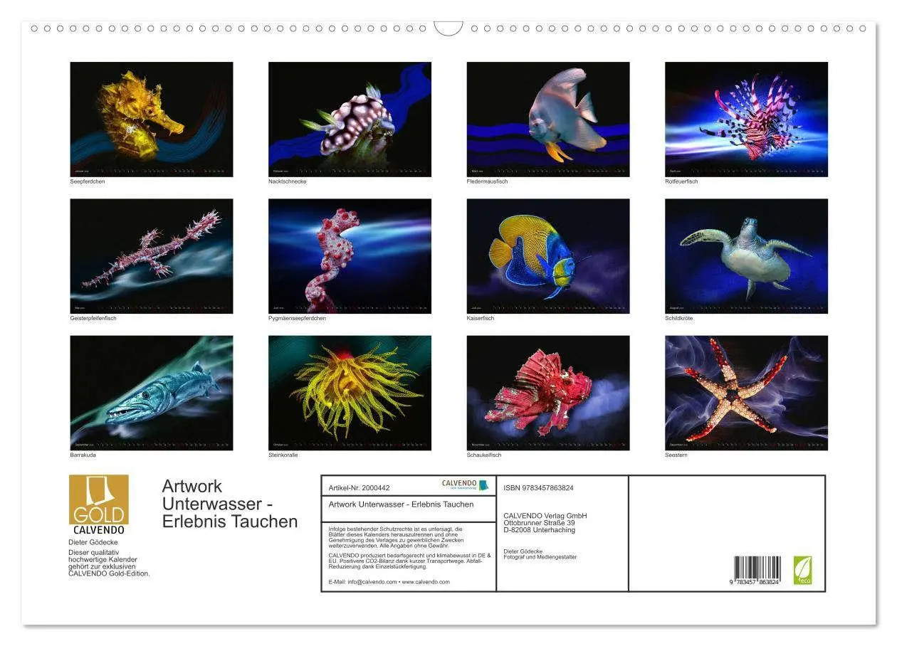 Bild: 9783457863824 | Artwork Unterwasser - Erlebnis Tauchen (Wandkalender 2026 DIN A2...